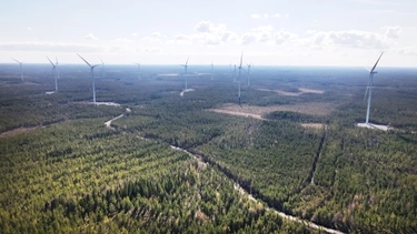 From wind power to wild forests