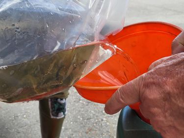 Improving conditions for the endangered brown lake trout