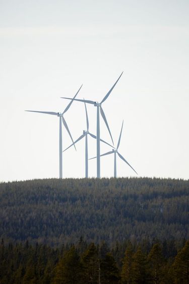 Mässingbergetin tuulipuisto, 22 MW, Ruotsi (kuva: Joakim Lagercrantz)