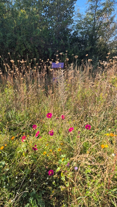 Wysoka Ecopark – One year later