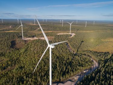 Lehtirova wind farm, 147 MW, Sweden (photo: Joakim Lagercrantz)