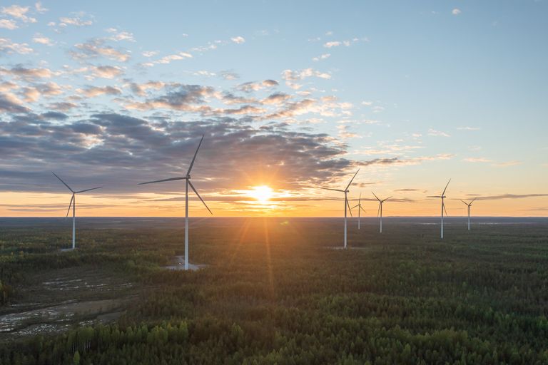Metsälamminkankaan tuulipuisto, Suomi